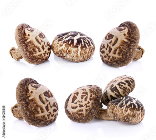 Dry Shiitake Mushroom isolated on white