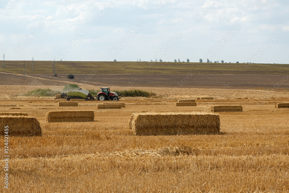 Fototapeta premium Tractor with wheat straw baler. Agricultural background