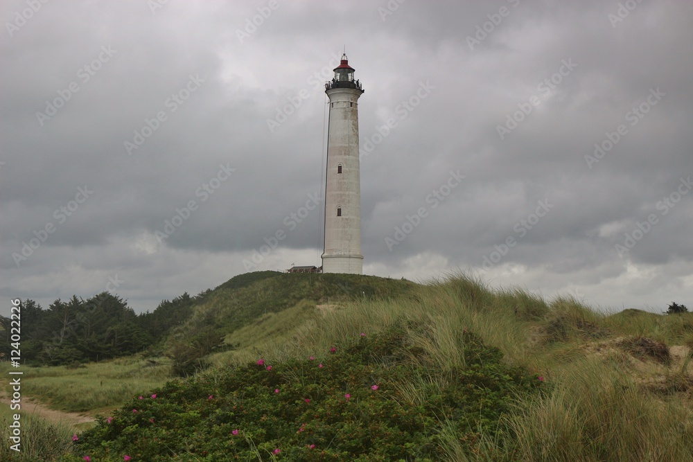 The Lighthouse Lyngvig Fyr on the West Coast of Denmark, North Jutland, near the town Hvide Sande. Scandinavia, Europe