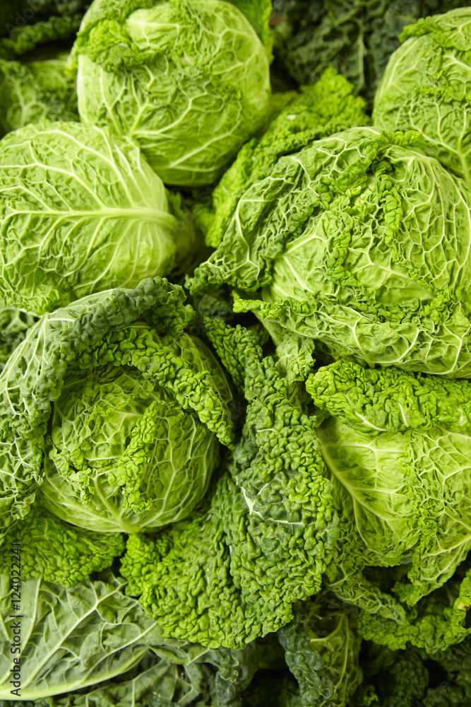 Fototapeta premium A whole page of whole green lettuce background texture