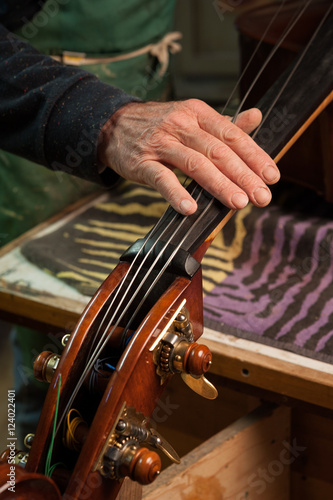 The violin-maker