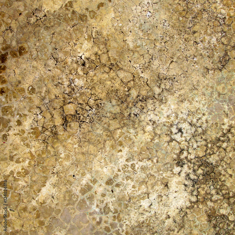 Grunge cracked concrete floor texture Grunge cracked concrete floor texture