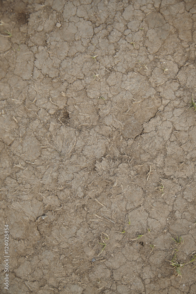 A whole page of dry cracked dirt background texture A whole page of dry cracked dirt background texture