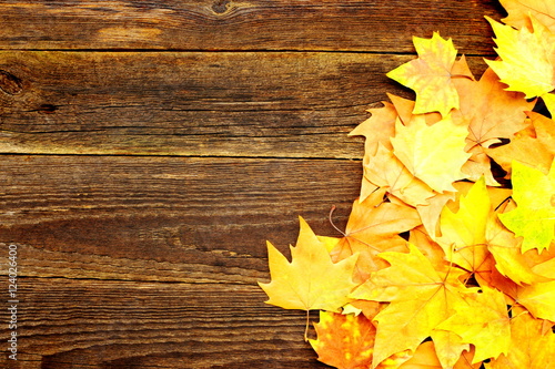 Colorful autumn leaves on a old wooden background