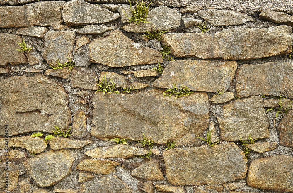 Fototapeta premium A whole page of old stone wall background texture