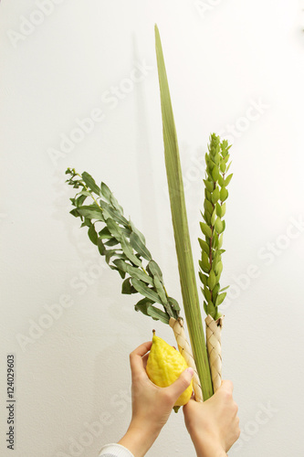 Lulav