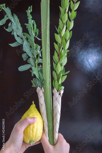 Lulav photo