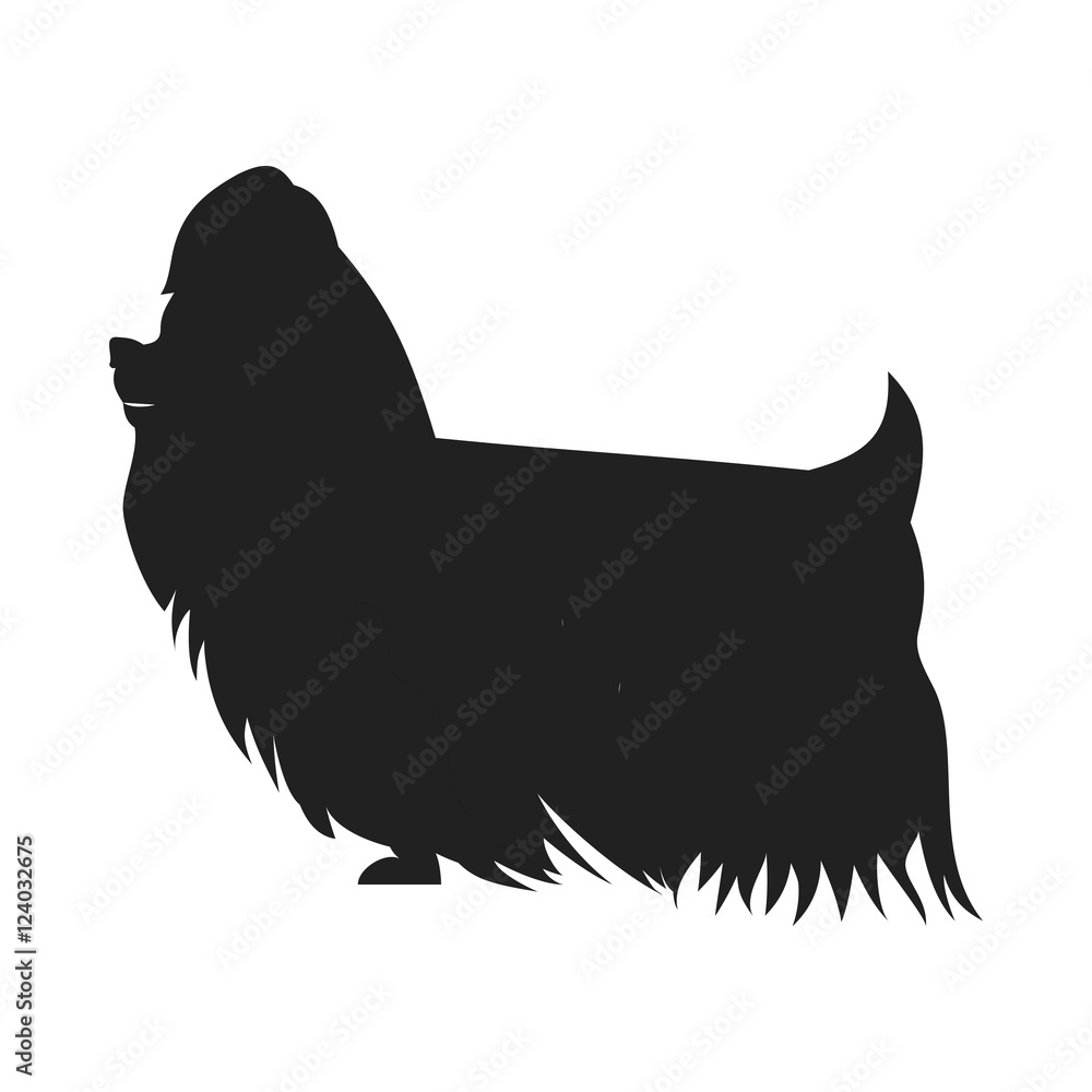 Yorkshire Terrier Vector Black SSilhouette Yorkshire Terrier Vector Black SSilhouette