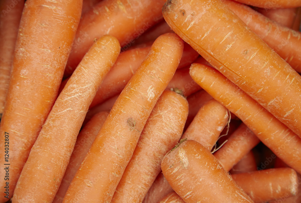 A whole page of carrot background texture A whole page of carrot background texture