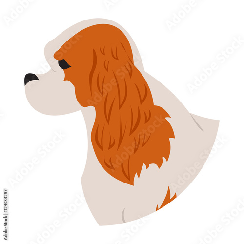 Dog head cavalier charles king spaniel