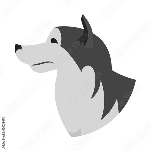 Dog head alaskan malamute