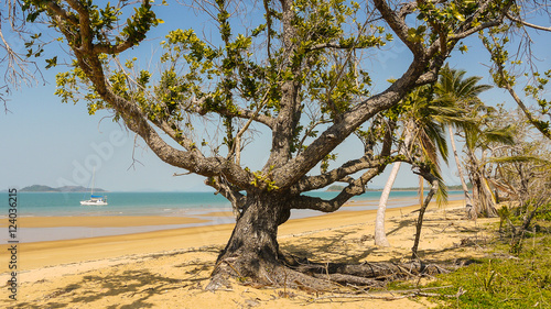 Mission Beach in Queensland  Australien