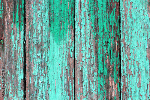 Texture of old wooden planks with cracked green paint closeup © winnipuhin