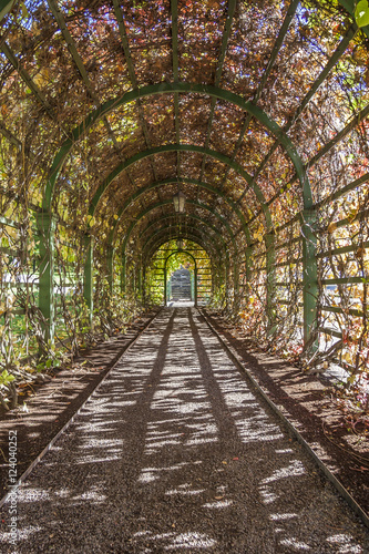 Autumn in a garden tunnel