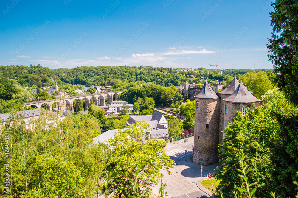 Luxembourg cityscape view from top with many trees in summer