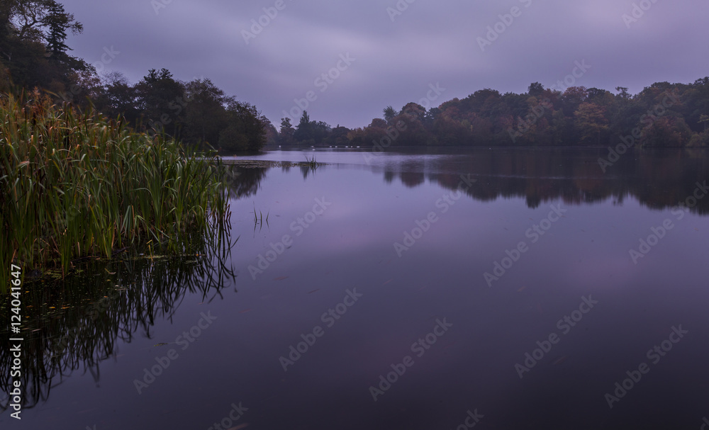 Early morning light on autumn colours at Bolam Lake, Northumberland, England, UK.