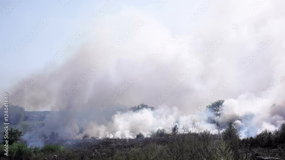 Steppe dry grass burn with thick smoke, prairie fire Steppe dry grass burn with thick smoke, prairie fire