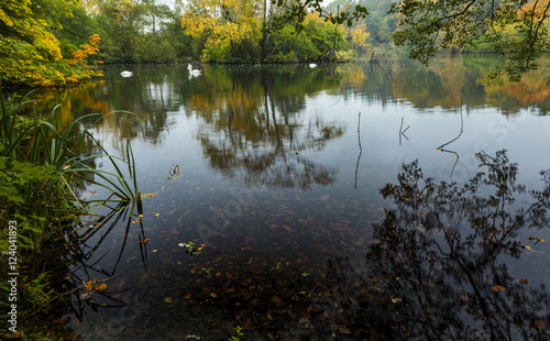 Early morning light on autumn colours at Bolam Lake, Northumberland, England, UK. photo