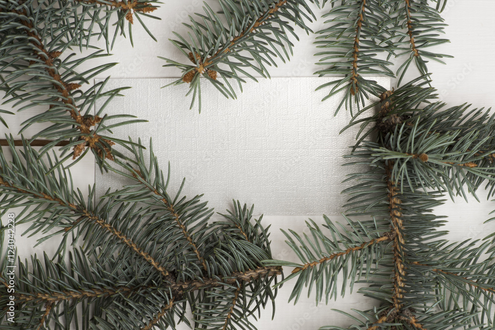 Green pine branch Green pine branch