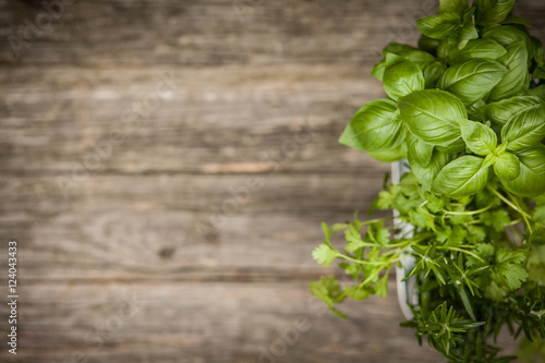 Fresh herbs on old wood background
