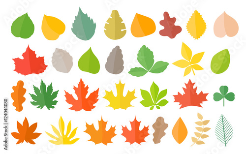 Different color autumn leaves vector collection. Leaves isolated