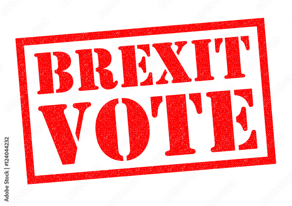 BREXIT VOTE Rubber Stamp