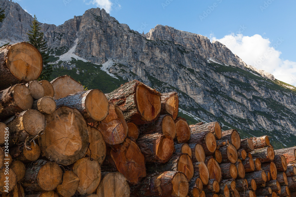 Logging in the Dolomites, Italy