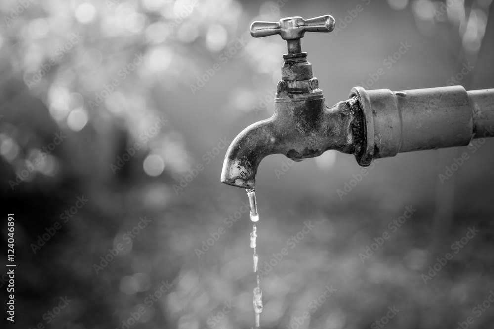 Brass water tap in nature background.(Processed in monochrome colour tone) Brass water tap in nature background.(Processed in monochrome colour tone)