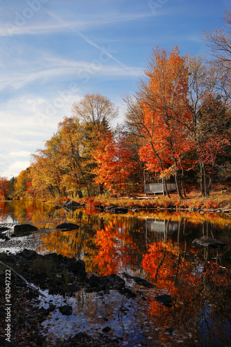 Autumn Perfection