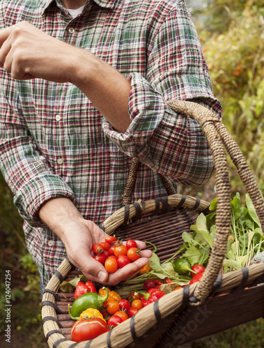 Farmer holding a basket with fresh picked vegetables