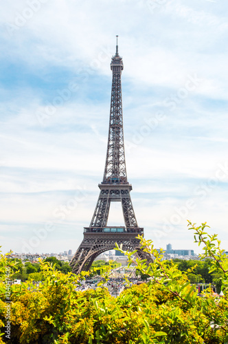 Paris cityscape with Eiffel Tower view from the Trocadero