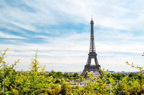 Paris cityscape with Eiffel Tower view from the Trocadero © andrii_lutsyk