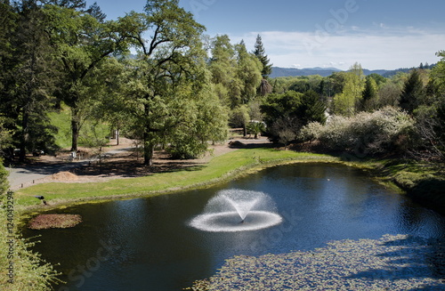 The pond with fountain