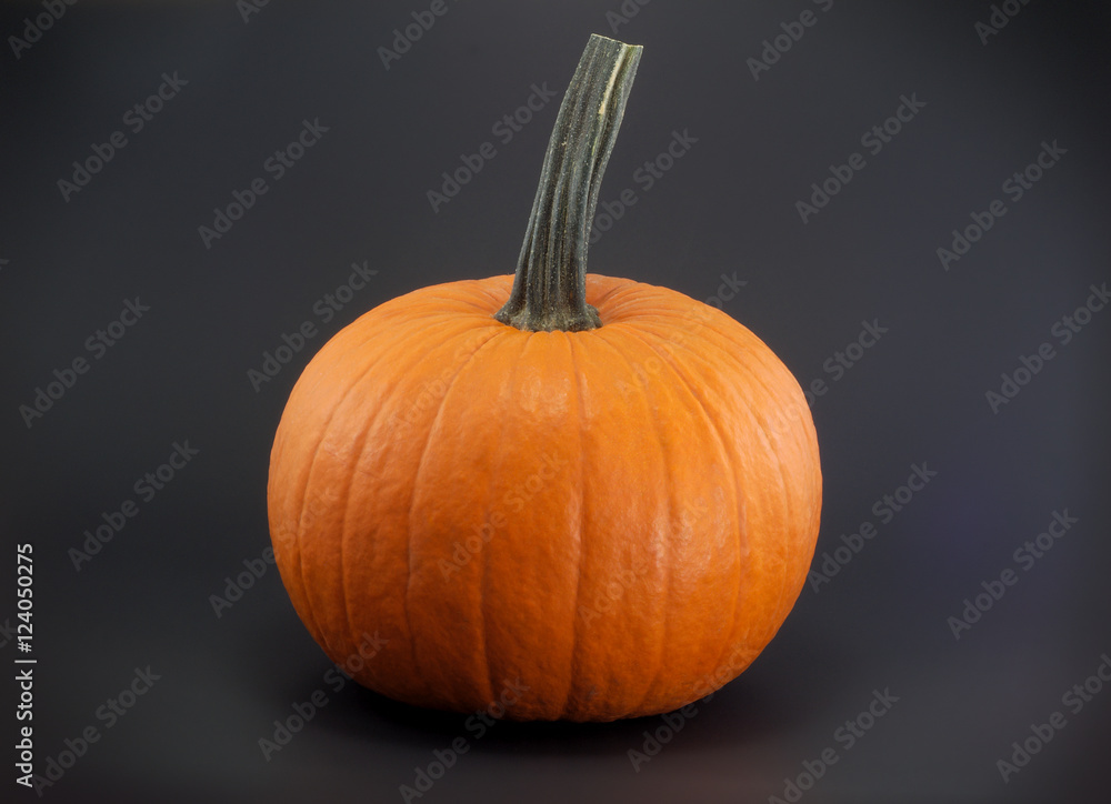 Obraz premium one orange pumpkin on dark background for halloween 