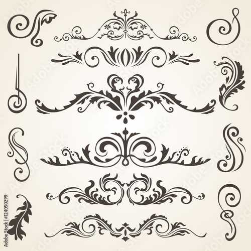 Calligraphic design elements and page decoration. Vector set to embellish your layout