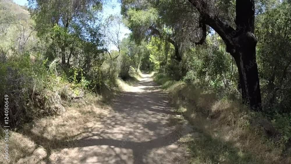 POV hiking, walk down empty path in California State Park. POV hiking, walk down empty path in California State Park.