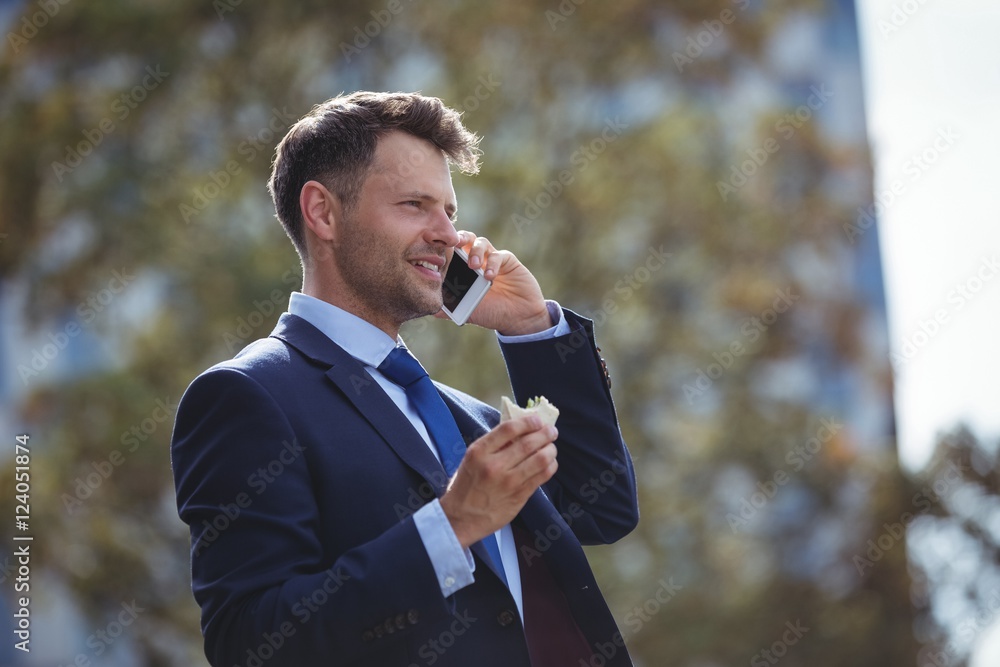 Handsome businessman talking on mobile phone Handsome businessman talking on mobile phone