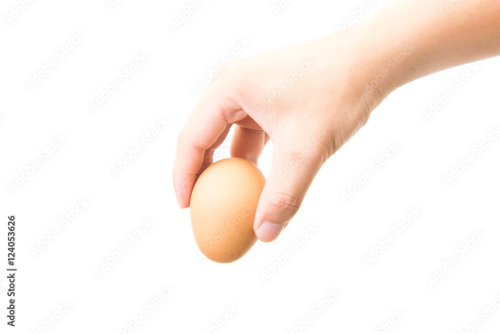 Hand holds a brown egg on a white background