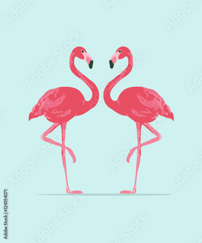 Vector illustration pink flamingo couple. Exotic bird. Cool flamingo decorative flat design element.