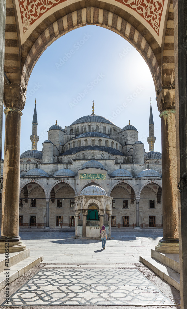 Fototapeta premium The Main Entrance of the Blue Mosque in Istanbul, Turkey 
