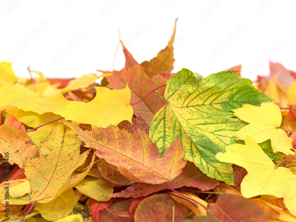 Herbst, Blätter, Laubhaufen
