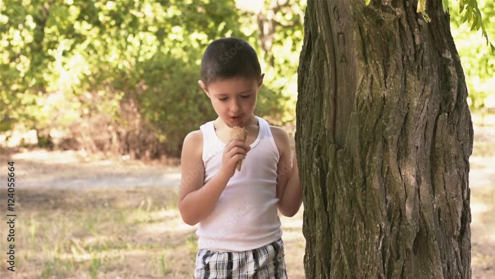 Boy with ice cream stands by the tree. Six-year-old boy eating ice cream in the Park. Young boy rest in the park Boy with ice cream stands by the tree. Six-year-old boy eating ice cream in the Park. Young boy rest in the park