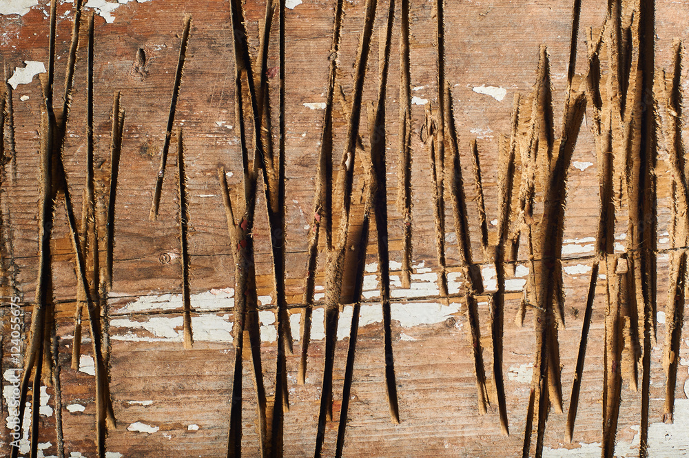 Cut notches on the tree. Beautiful textured wood with slots of the axe.
Cut notches on the tree. Beautiful textured wood with slots of the axe.