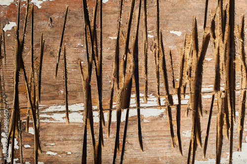 Cut notches on the tree. Beautiful textured wood with slots of the axe.
