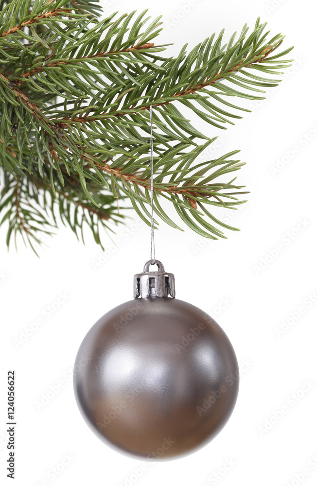 Silver christmas ball on christmas tree branch Silver christmas ball on christmas tree branch