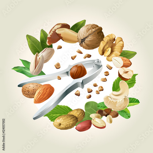 Vector illustration of nutcracker and nuts