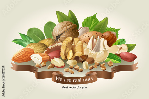 Vector illustration mix of different types nuts