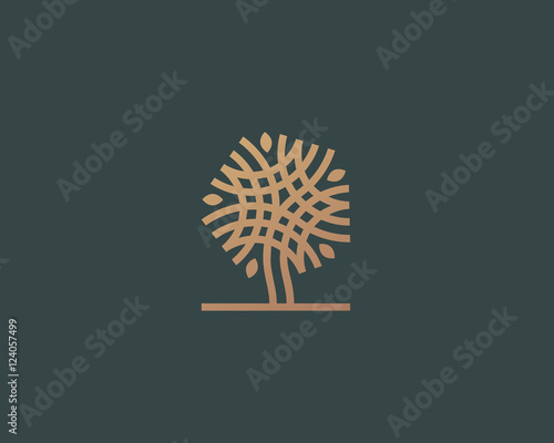 Abstract linear vector tree logo icon design. Universal luxury premium solid symbol. Creative park nature bio relax spa sign logotype.