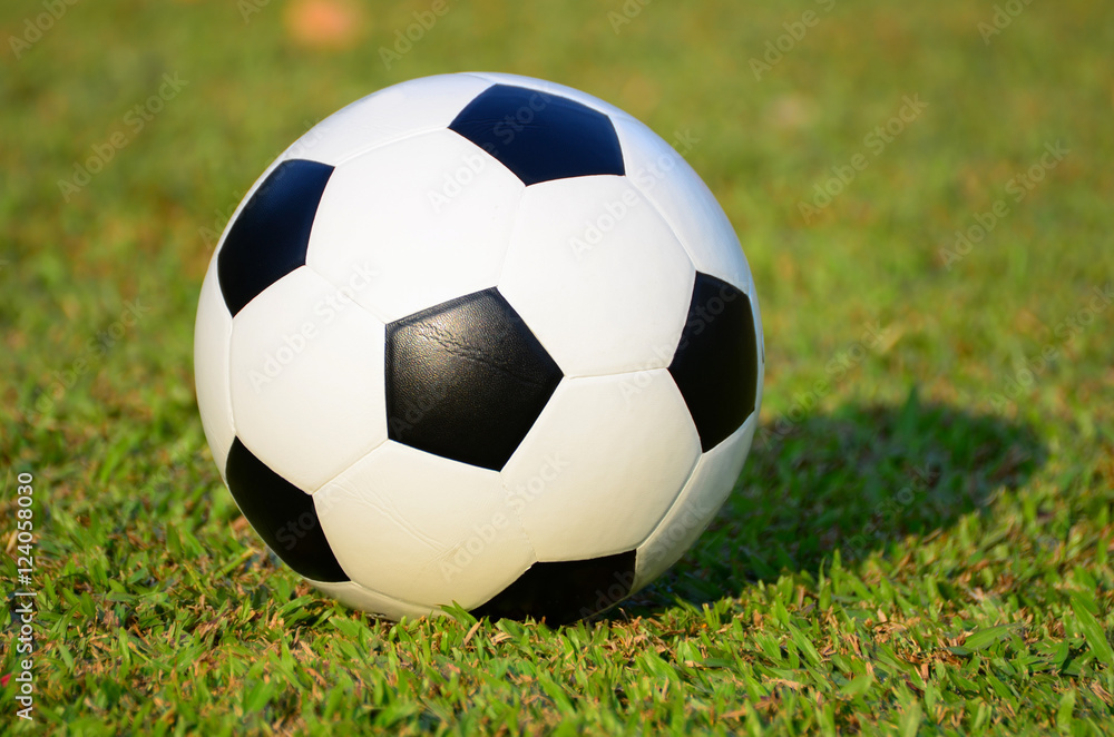 Fototapeta premium football or soccer ball on green grass field
