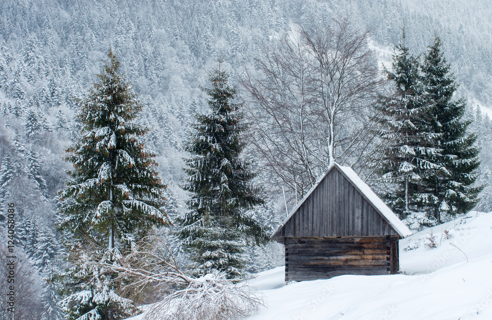 Small wooden house in winter in the mountains surrounded by snow-covered fir trees on the background of the unsharp forest. Winter landscape.